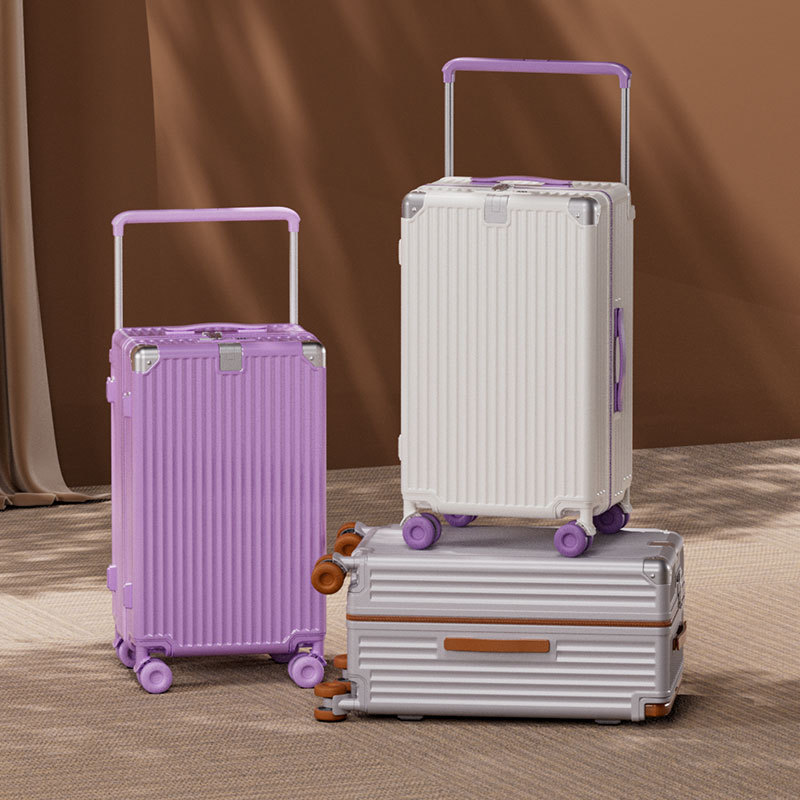 Spinner Wheel Rolling Suitcase 20 Inch - Maleta de viaje con ruedas giratorias