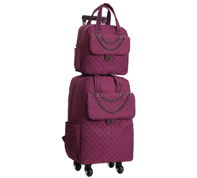 Bolsa de mano con ruedas para  - Foldable Rolling Luggage Bag reseña y precio